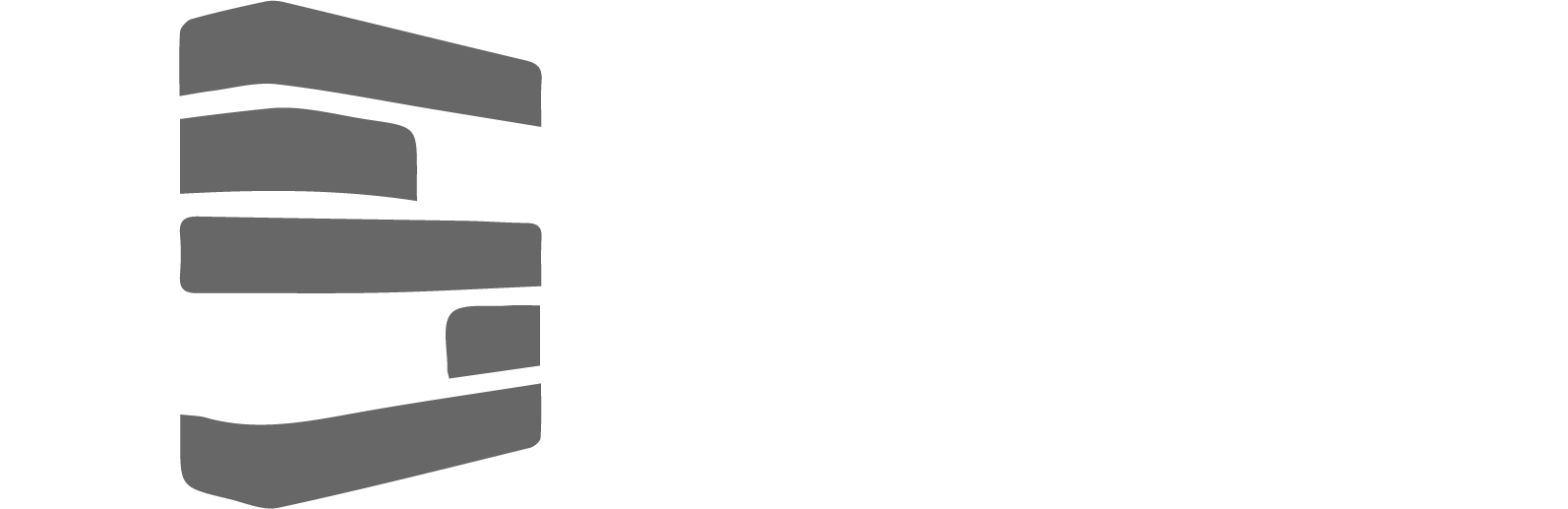Saly Consultant